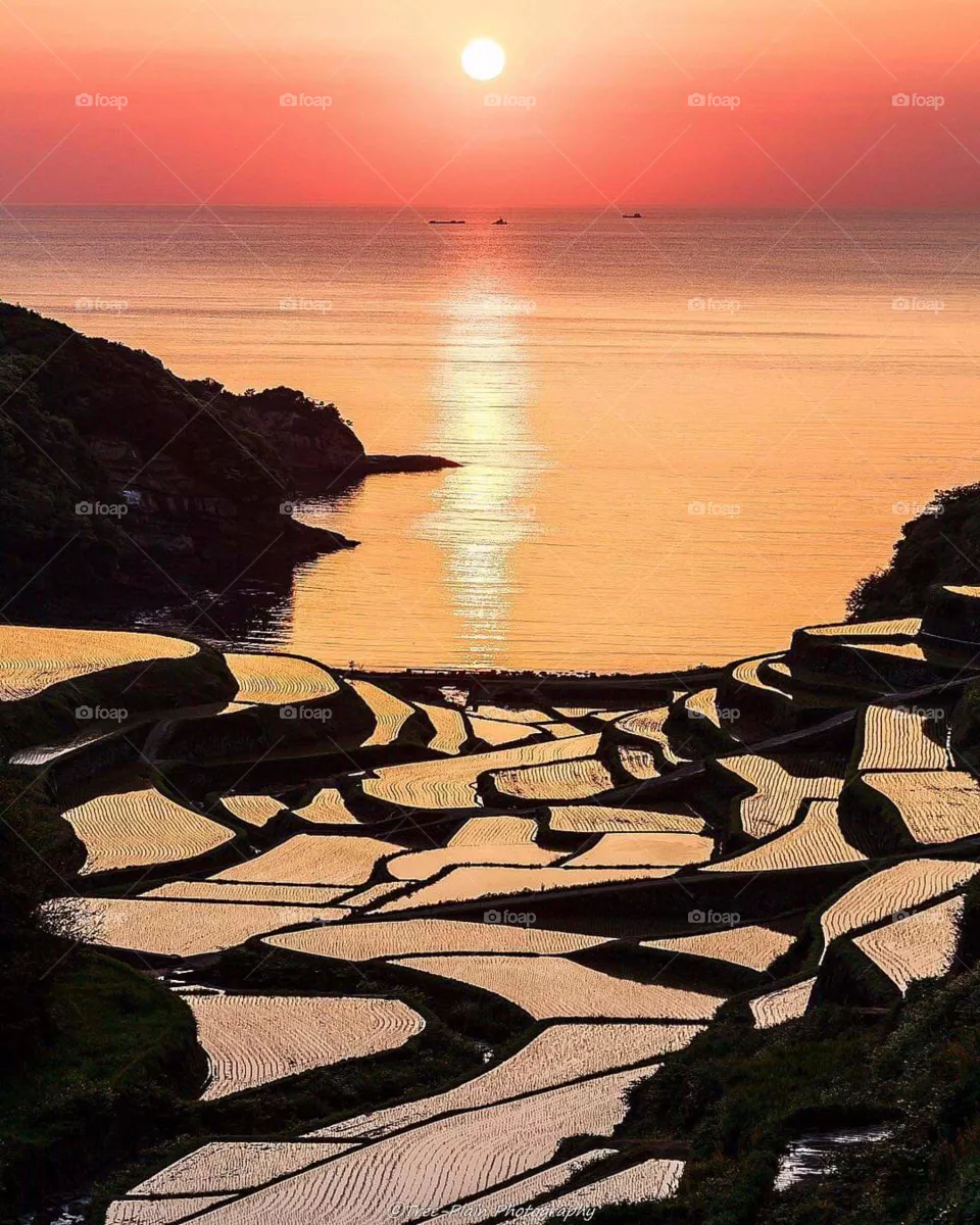 sun