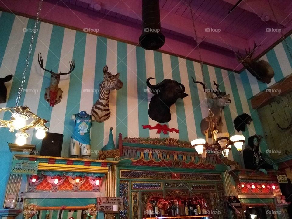 At the Bar (Mounted Animal Heads)