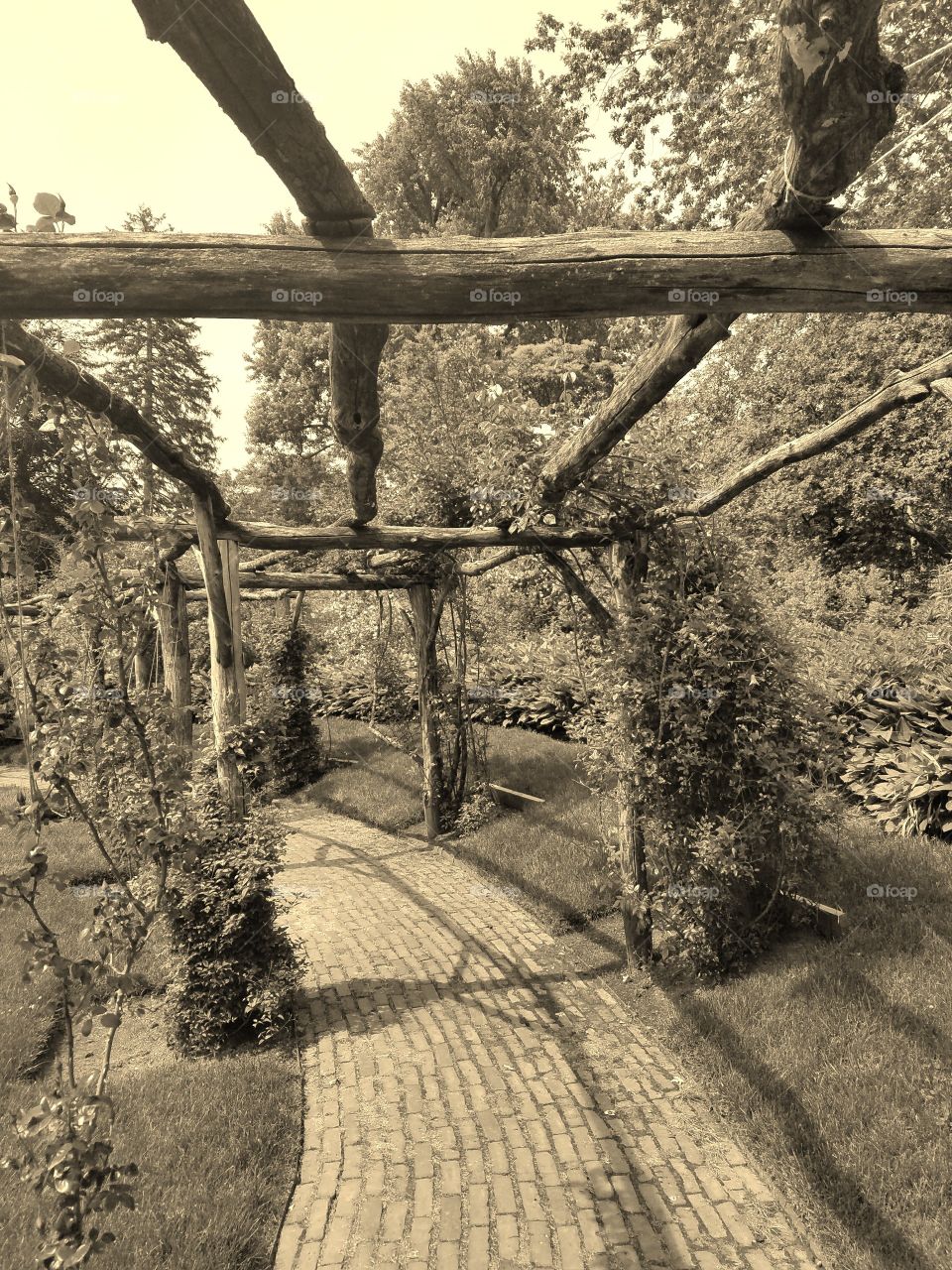Beginning of Summer at Old Westbury Gardens on Long Island. Mix of Clouds and Sun. Sepia Filter. Walking Path  Captured on Android Phone - Galaxy S7. May 2017.