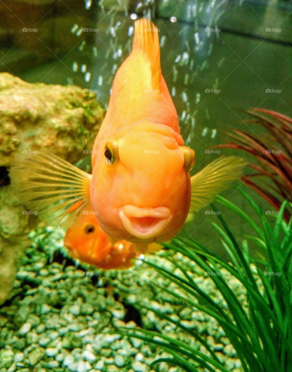 Orange and green 💚🧡