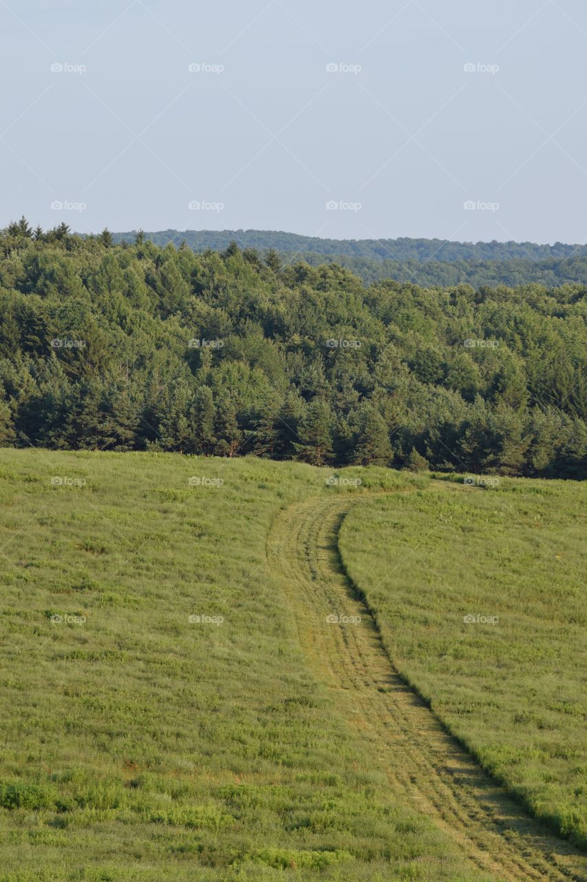 View of field