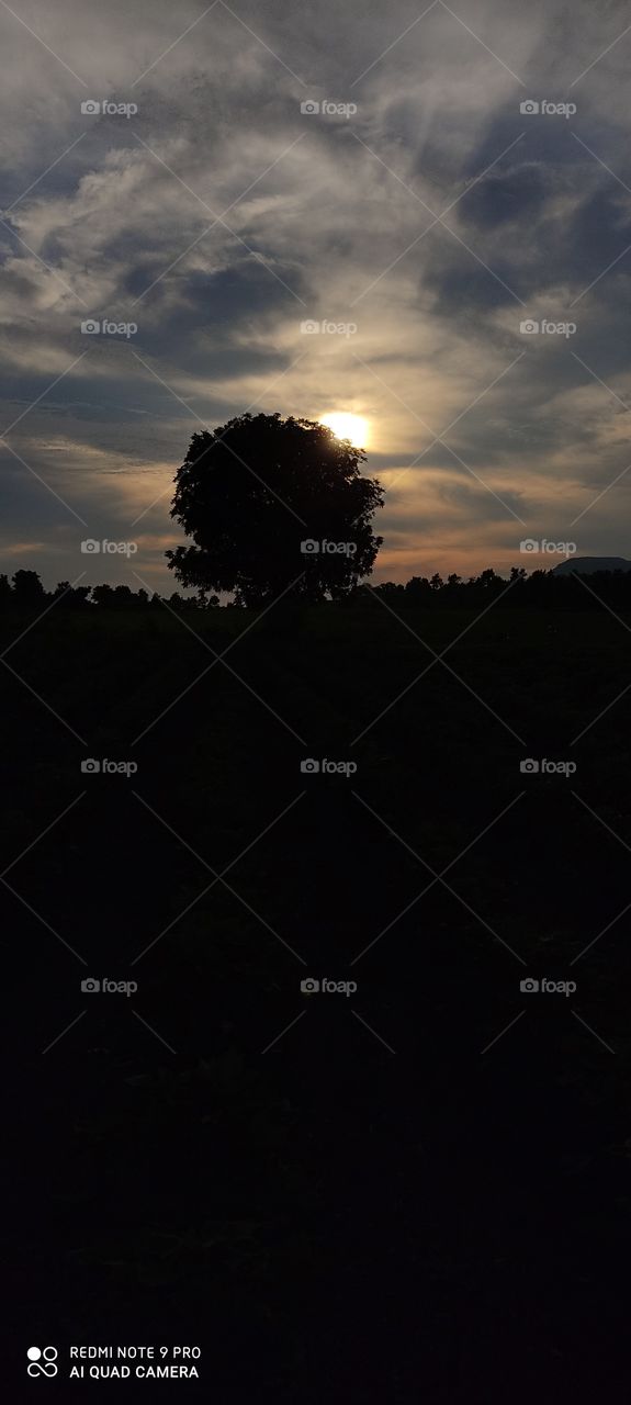 The view of the setting sun is pleasing to the mind