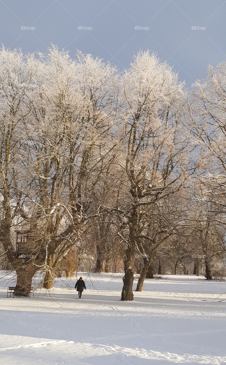 little woman under big trees