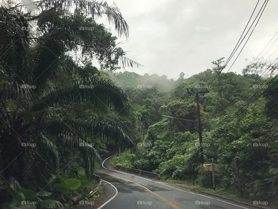 Tropical forrest road in phuket thailand