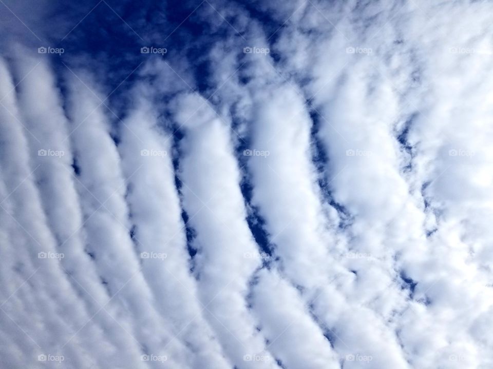 Vertical blue and white stripes.
White stripes on a blue background.