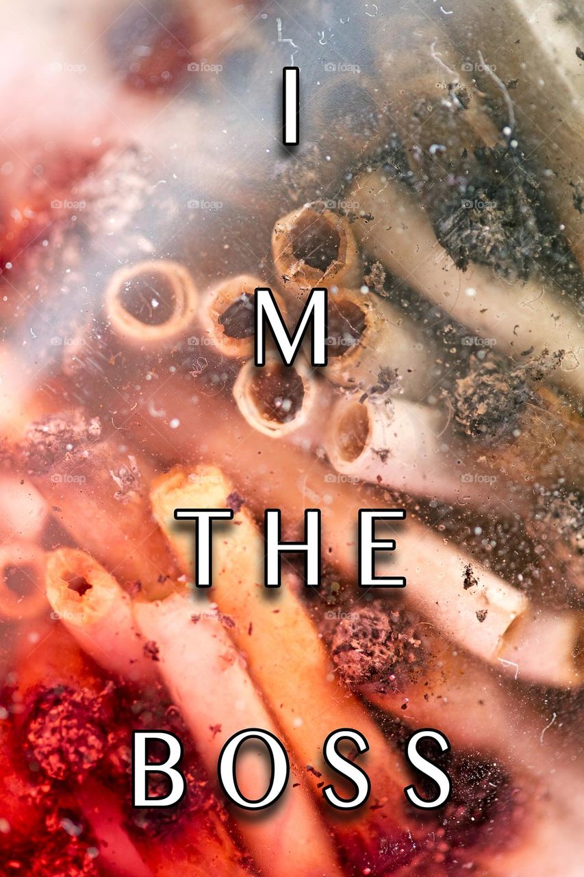 Quotes and sayings words spiritual Healing words about life motivation inspiration season daydreaming