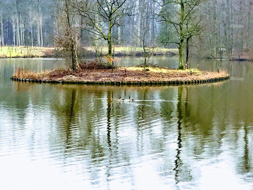 Island in moat surrounding Castle of Hooidonk near Ghent, Belgium