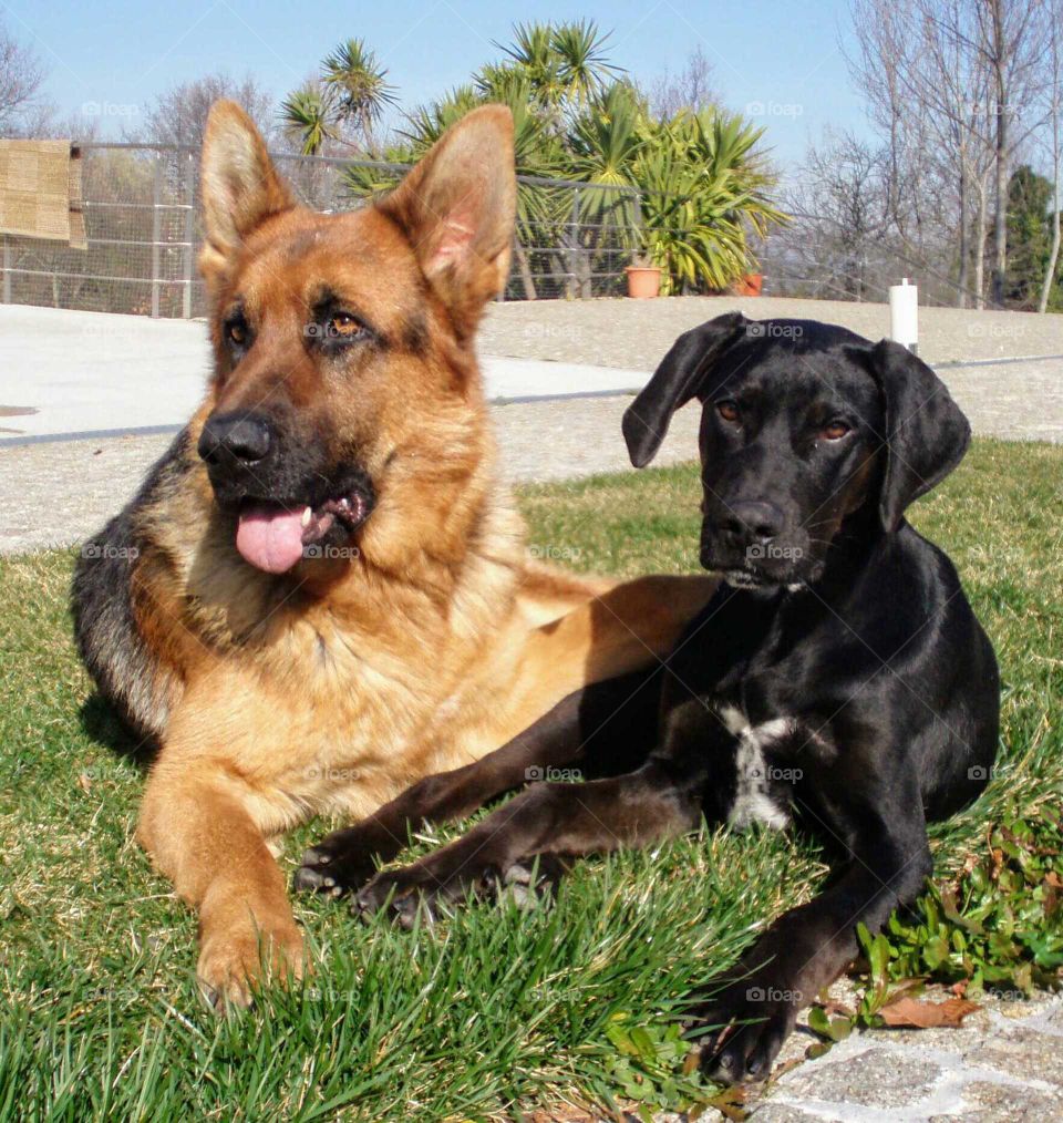 Best friends enjoying the sun