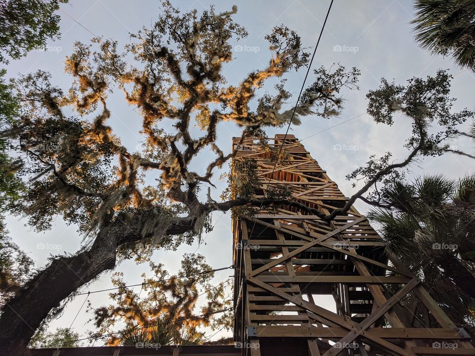 Observation Tower in Florida State Park
