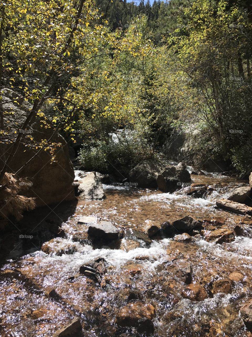 Colorado water fall