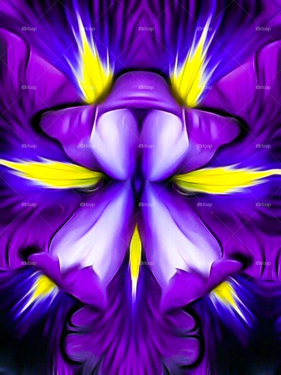 Iris flower purple violet digital abstract by elvio
