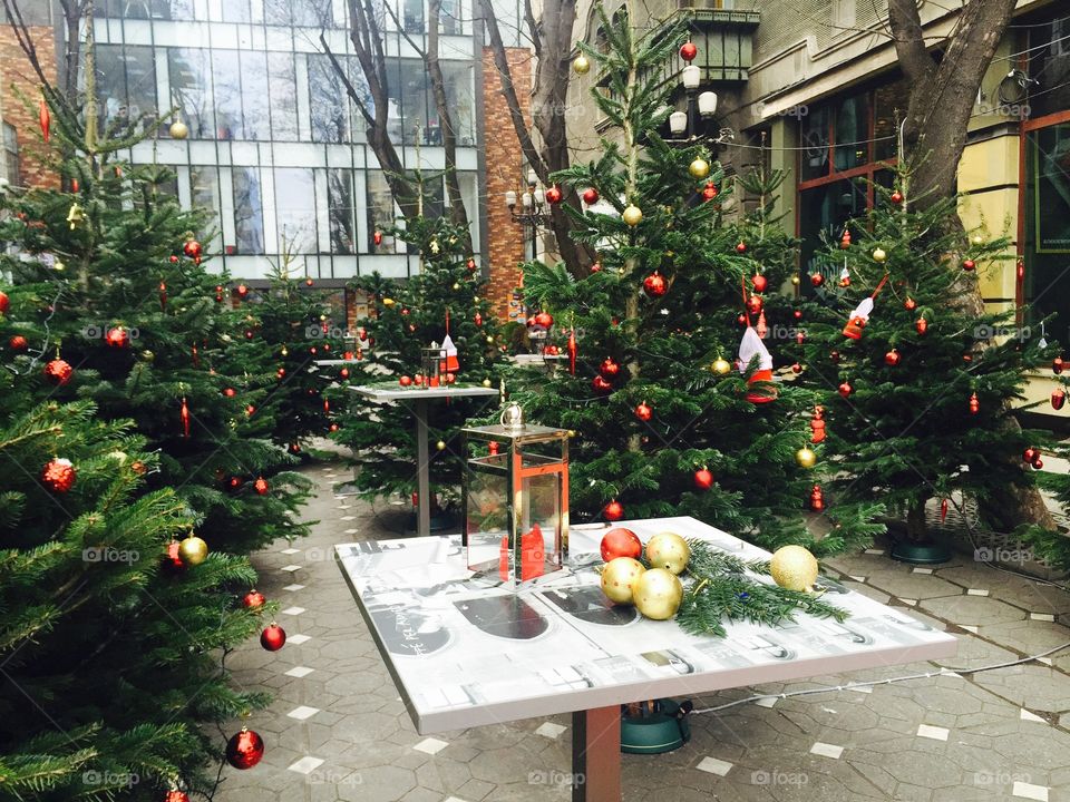 Decorated Christmas trees and terraces