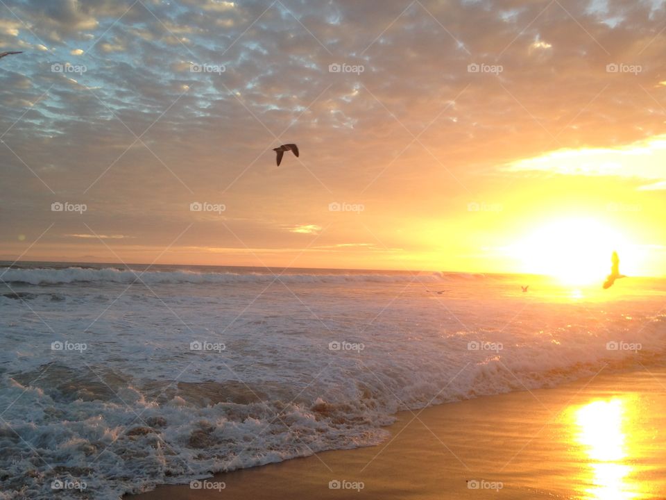 Sunset, seagulls & surf