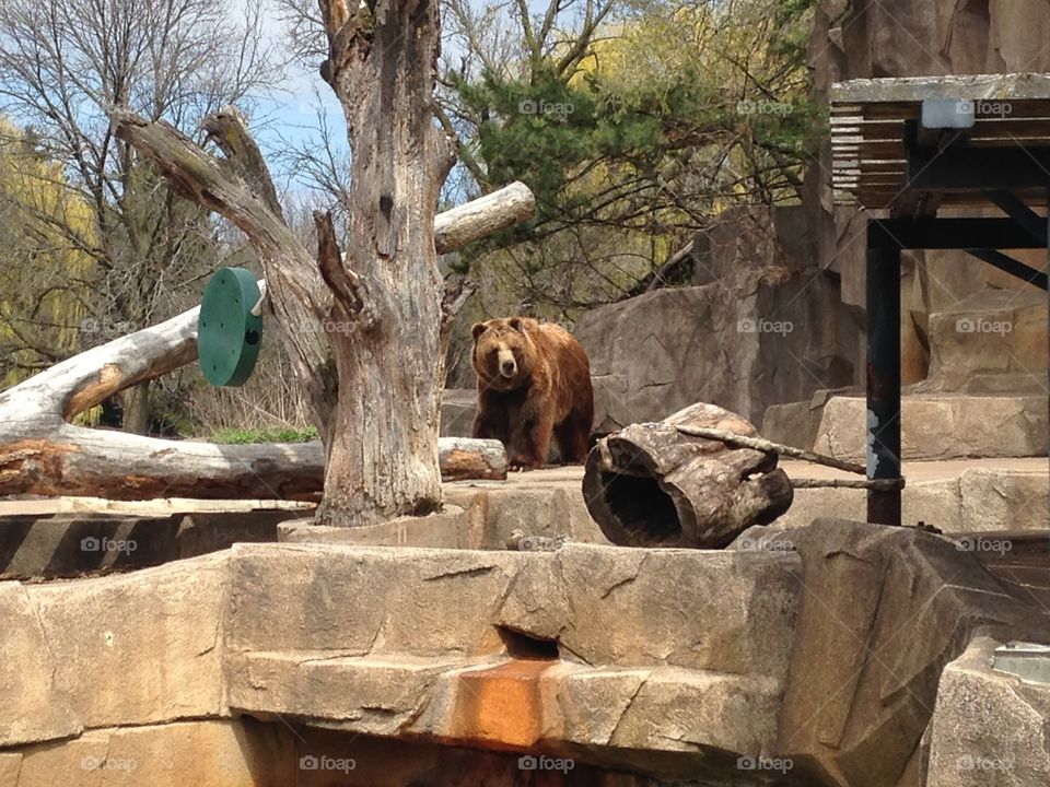 Milwaukee County Zoo