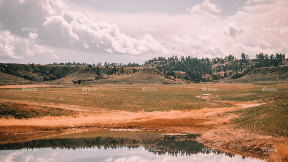 Ol plains and pond of Montana.