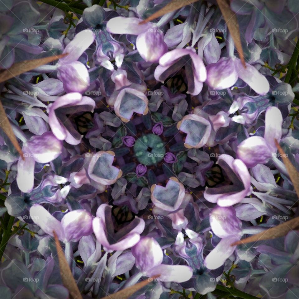deep lilac mandala