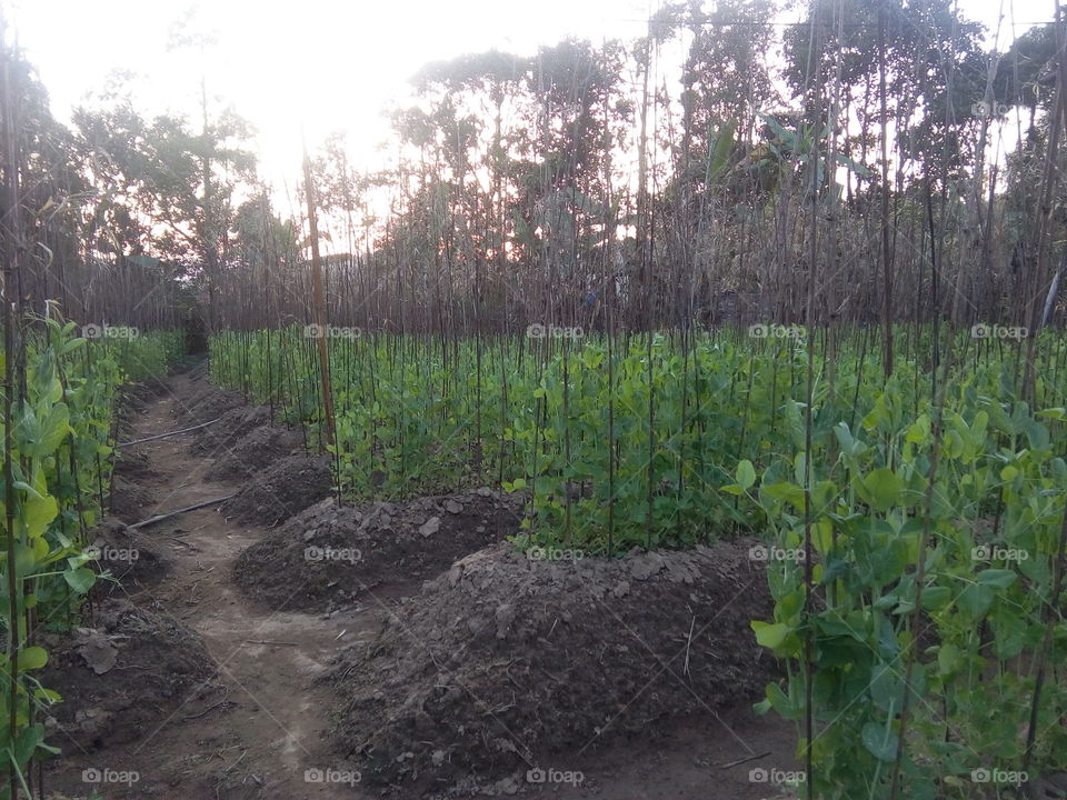 hardword can see from here