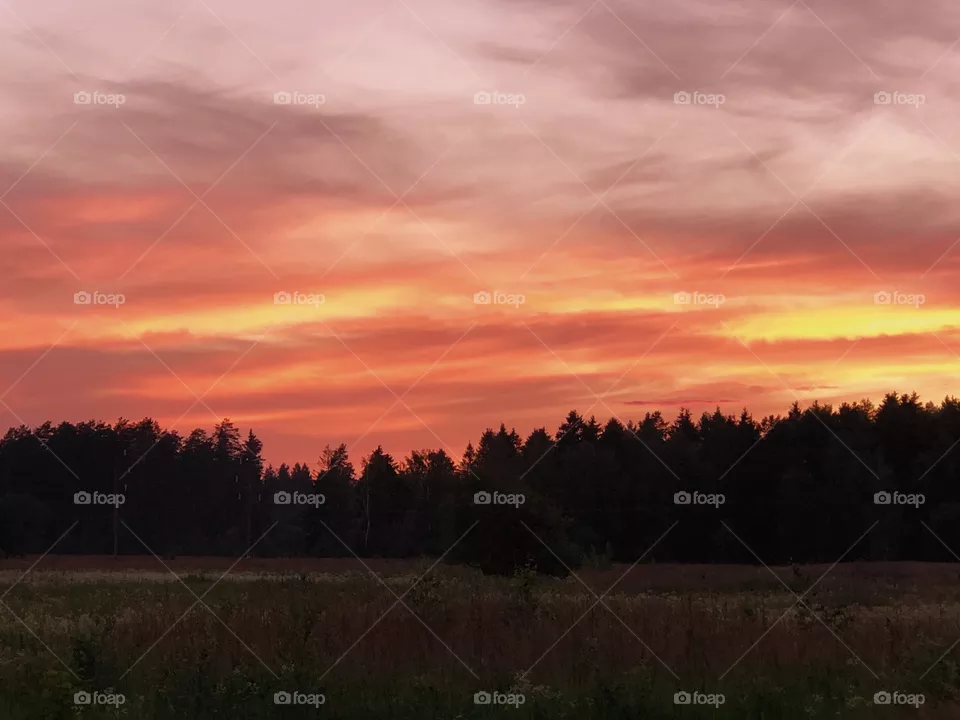 Sunset
