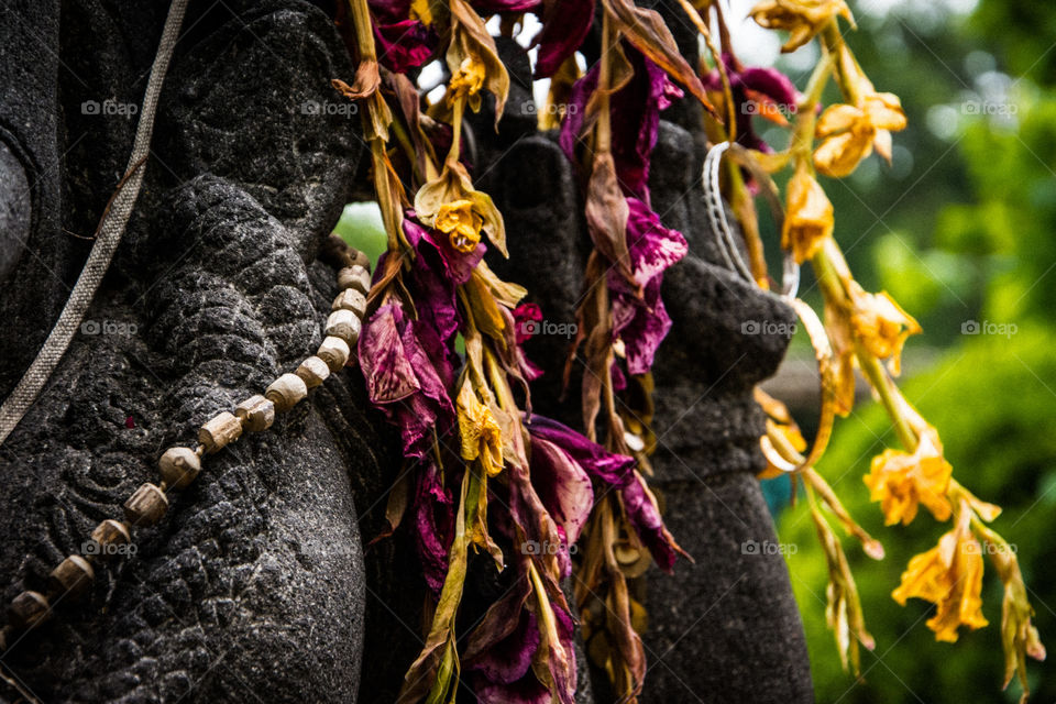 Buddhist garden 