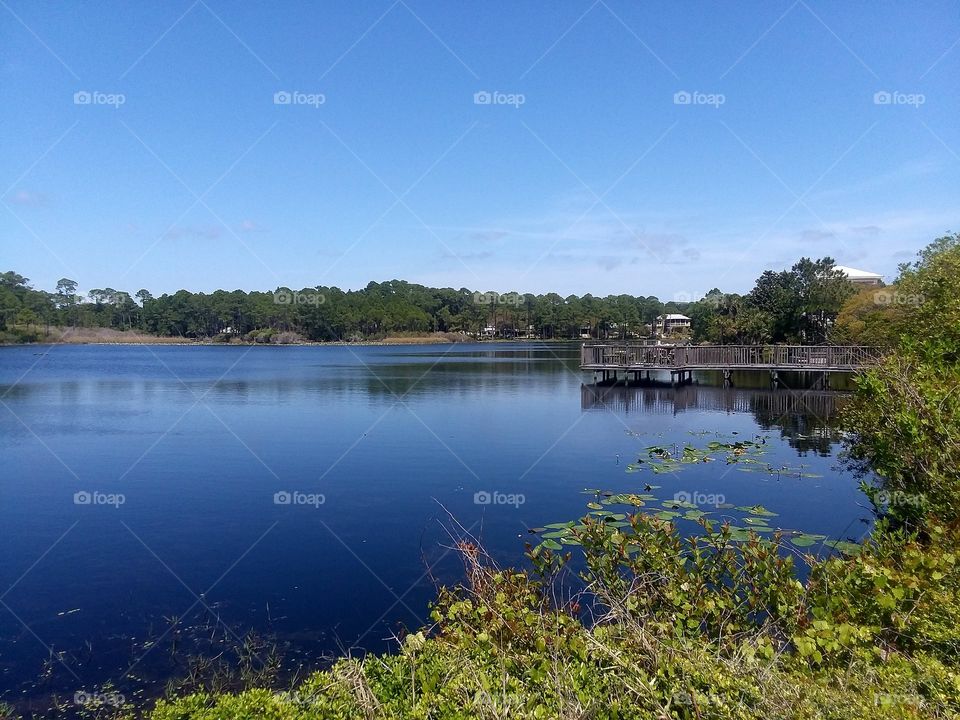 lake tree's beautiful day Santa Rosa beach Florida Florida