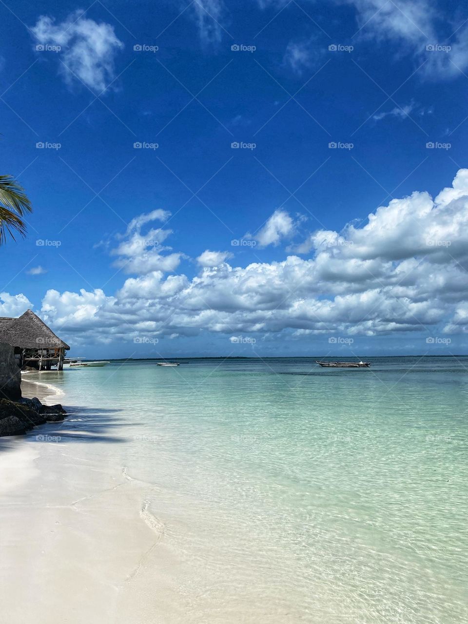 Para para paradise in Zanzibar 