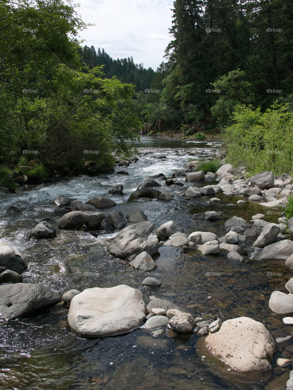 Boulders and rocks line the river banks of the magnificent waters of the Umpqua River in Southwestern Oregon on a summer morning. 