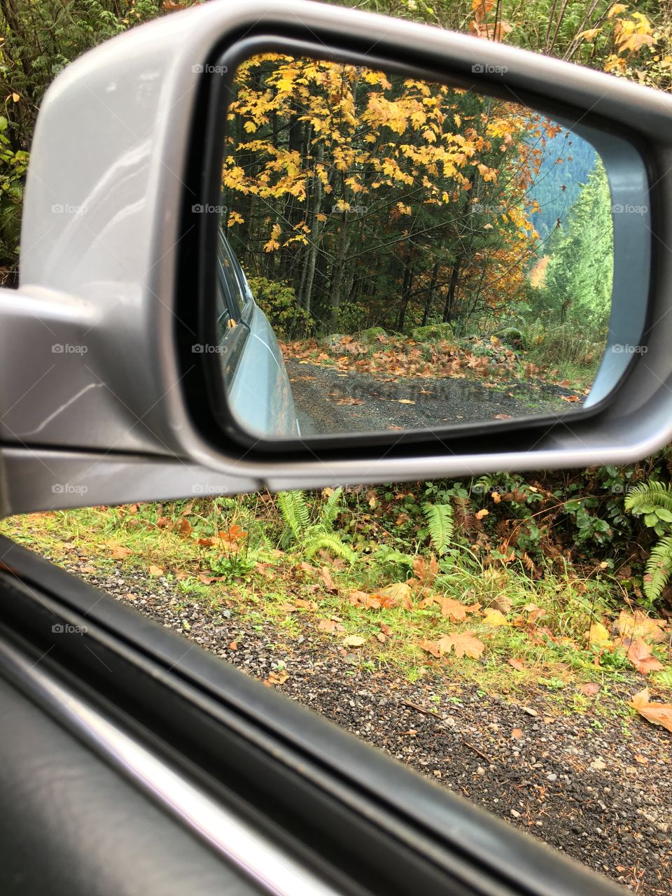 Autumn in my side window 