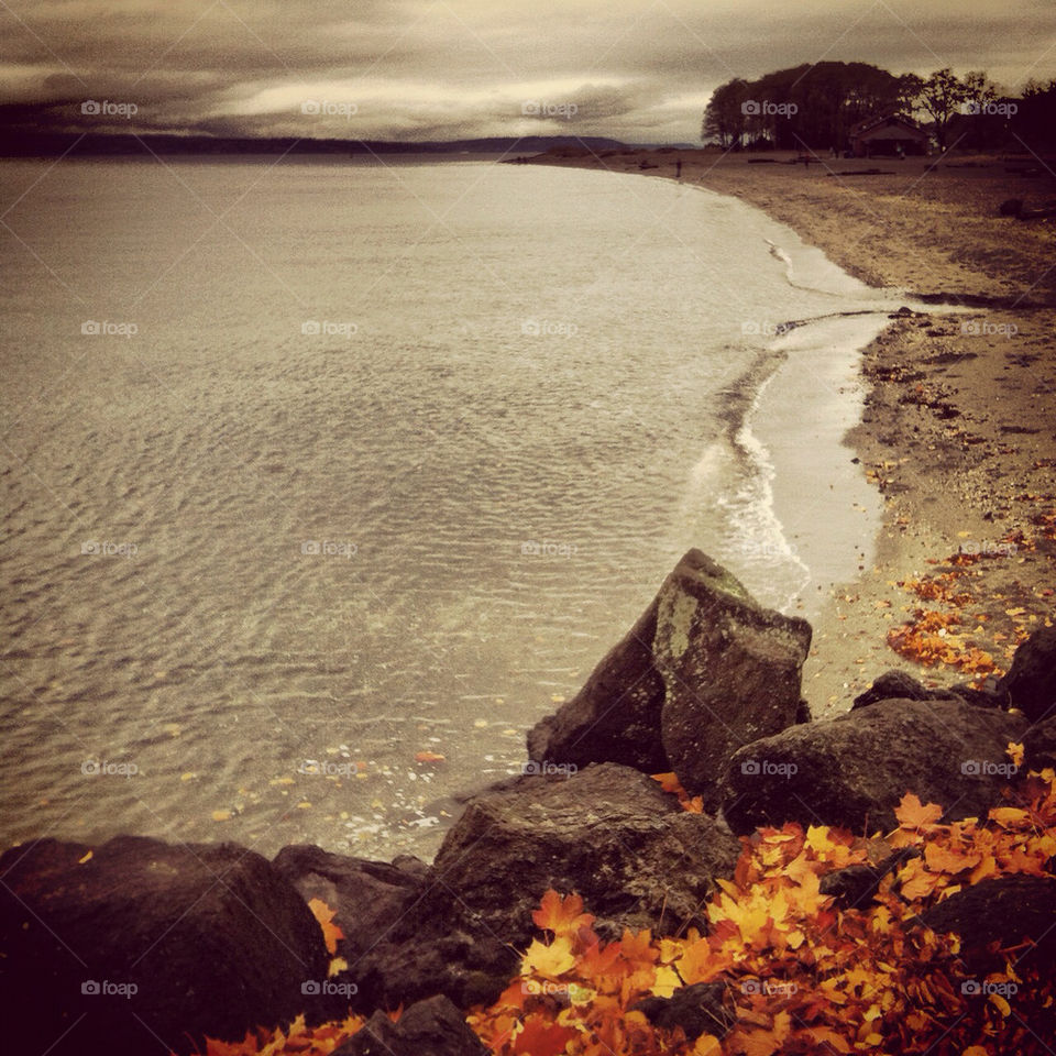 beach leaves autumn cloudy by jenifer_ward
