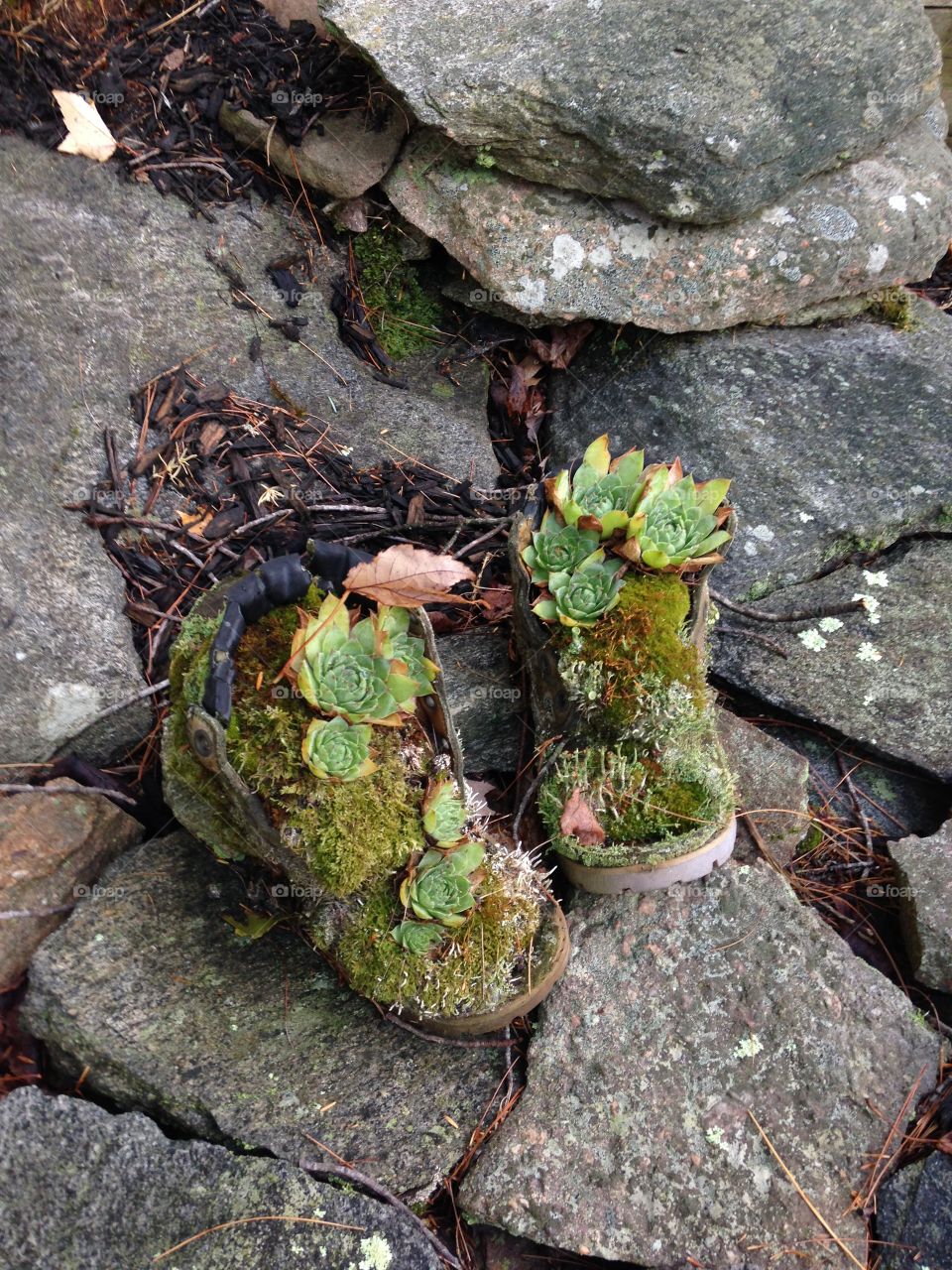 Work boot garden