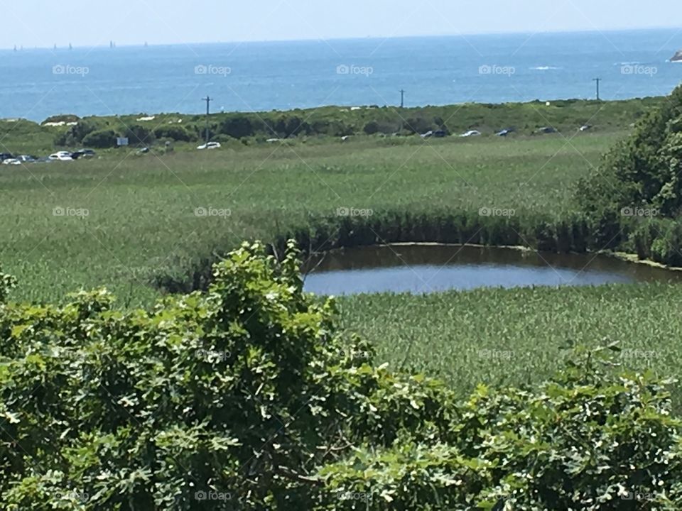 Bird Sanctuary Trail in Middletown RI