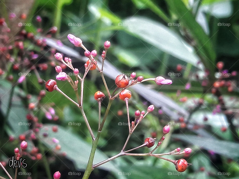 Minds are like flowers. If you let it sit there without soaking anything up, it will dry up

— Ken Hill