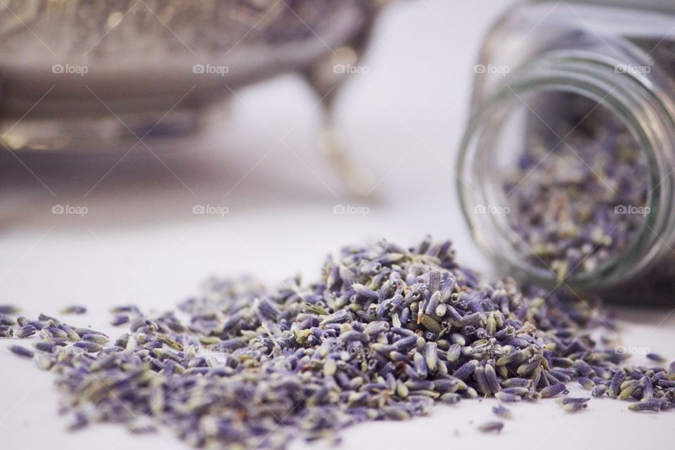 Lavender