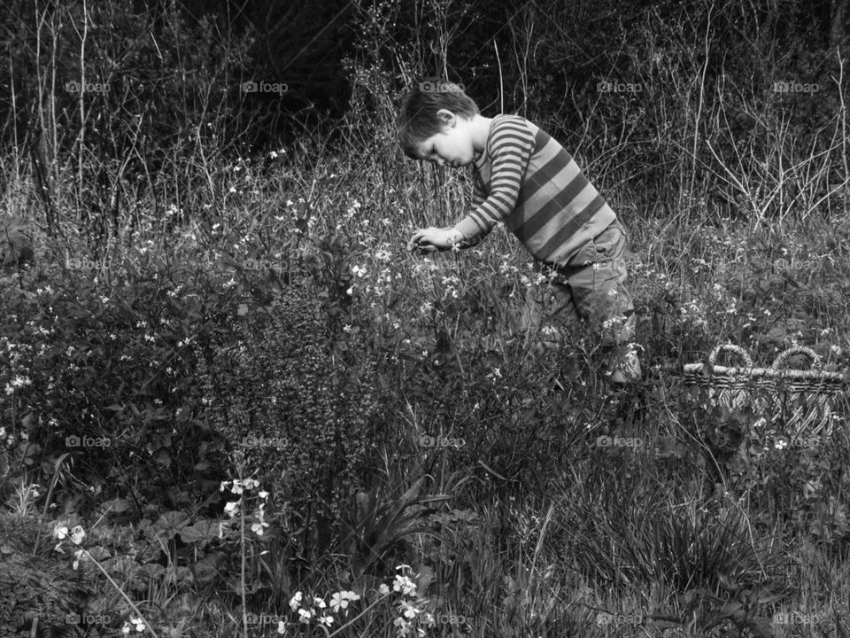 Boy Gathering Wildflowers