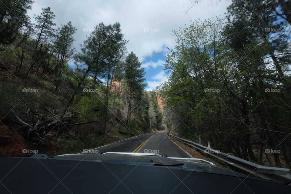 Road, Landscape, Tree, Travel, No Person