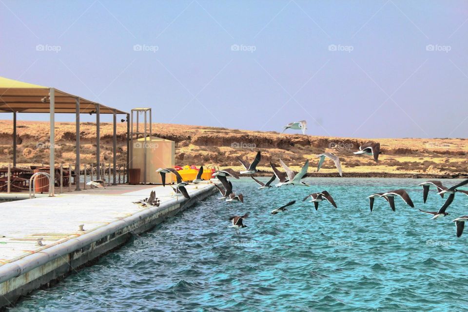 Saudi Islands