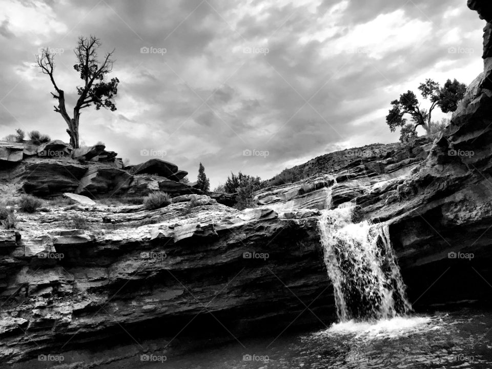 Waterfall in the desert . A beautiful scenic view of a waterfall and a tree in the desert 