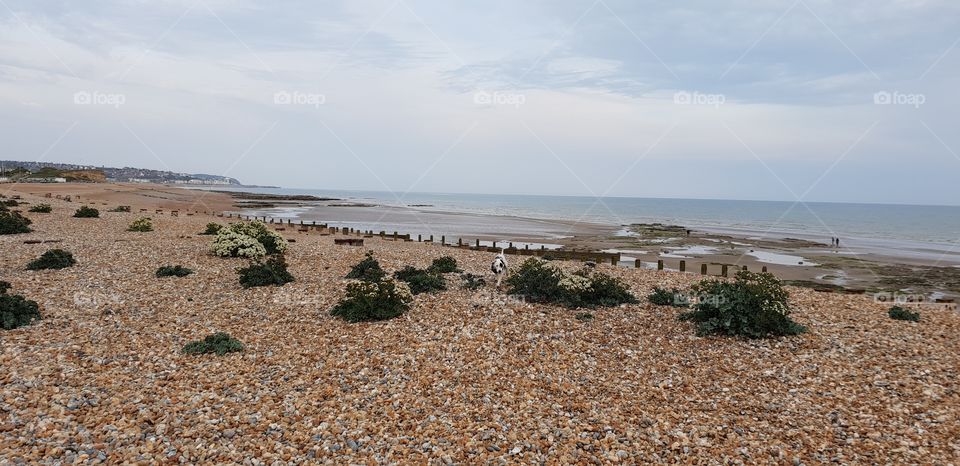 Bexhill-On-Sea,England