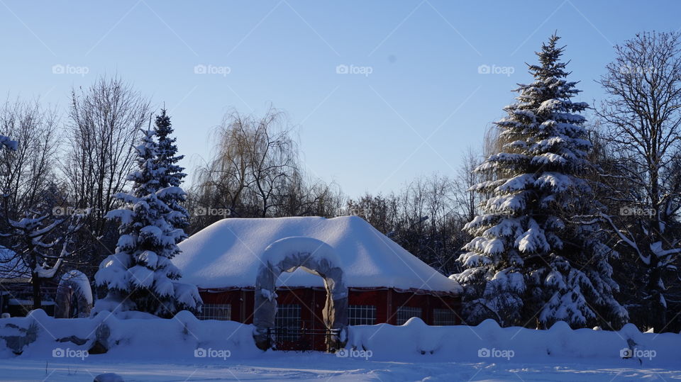 Scenic view of house covered with snow