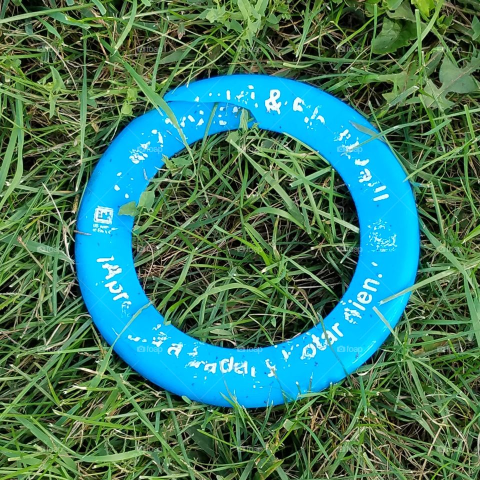 Objects Found while on Walkies