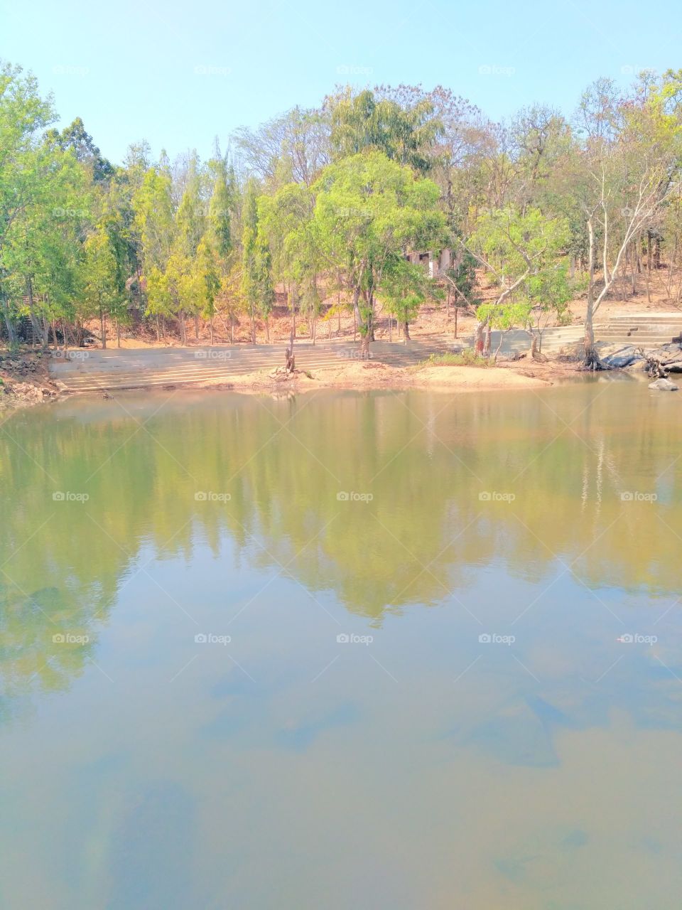 small pond