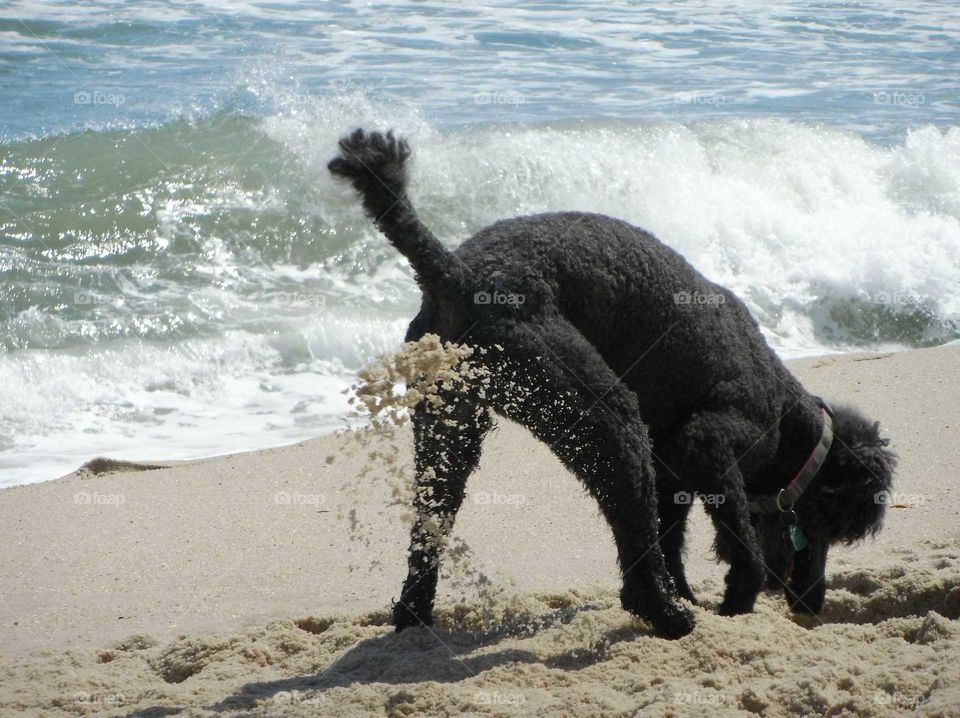 Easter day on the beach