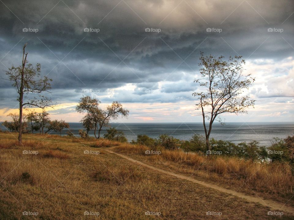 landscape nature clouds sea trees пейзаж природа облака море  деревья