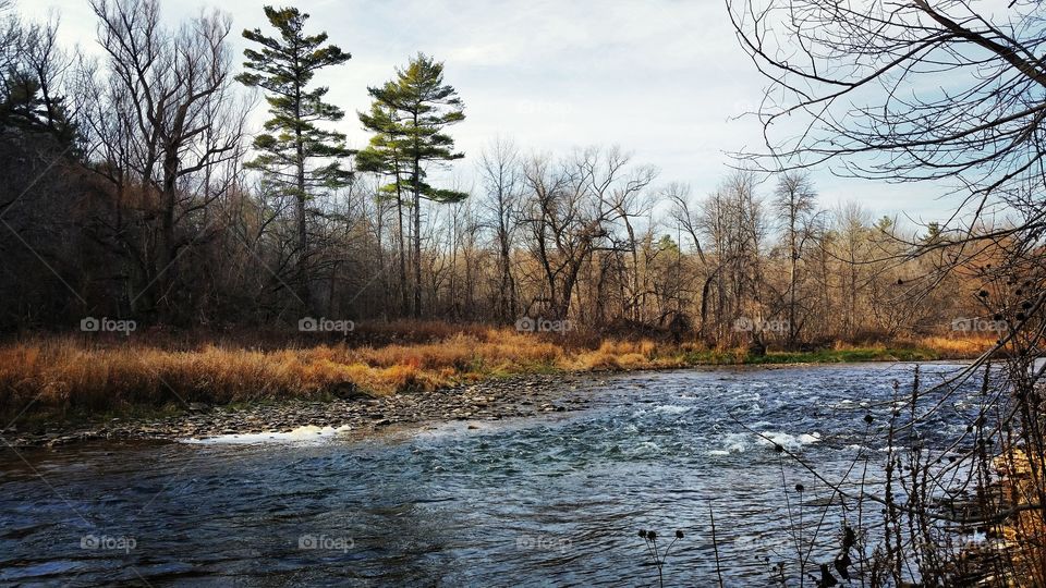 before the winter comes