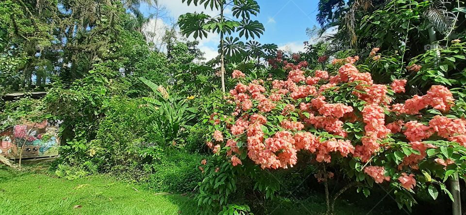 Jardim Botânico de Santos