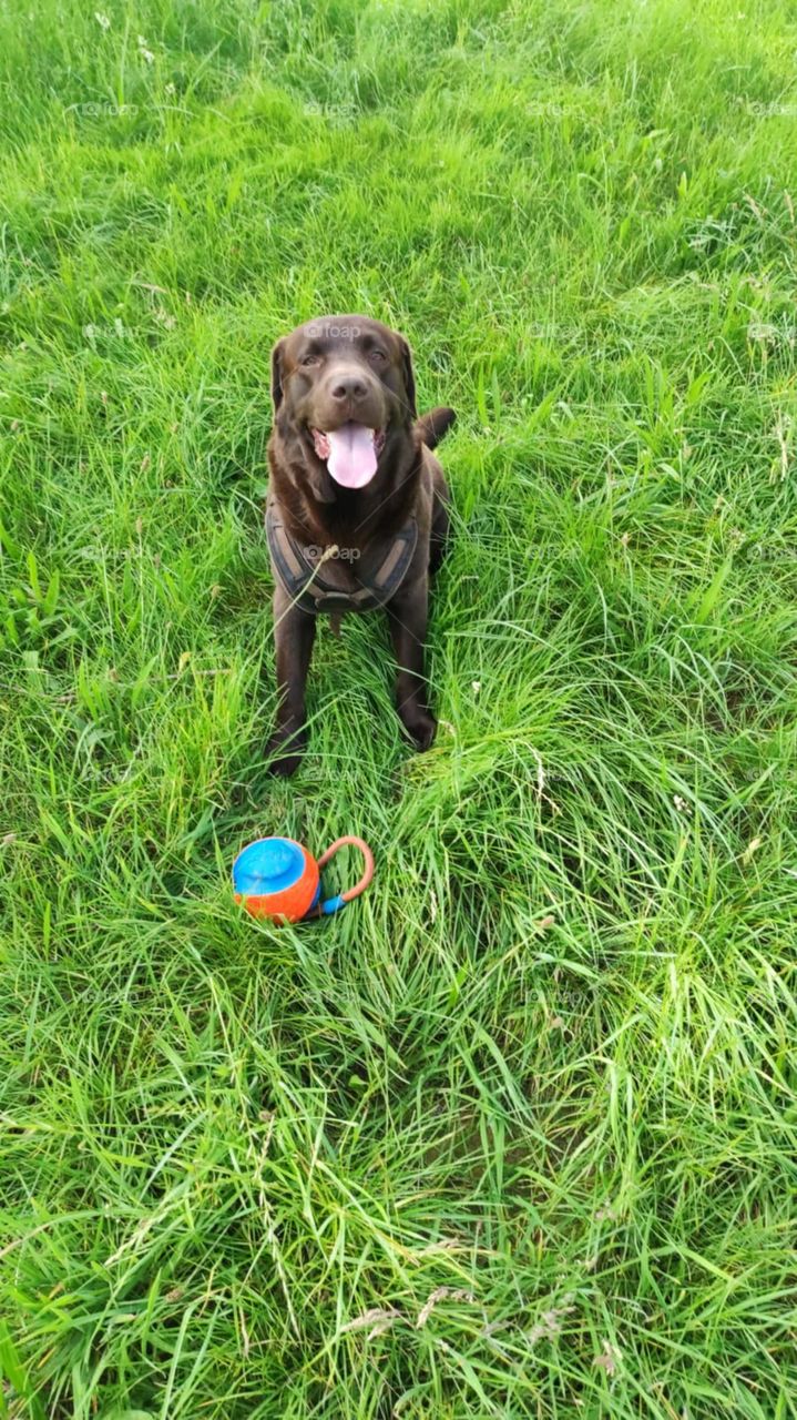 My best friend waiting for play