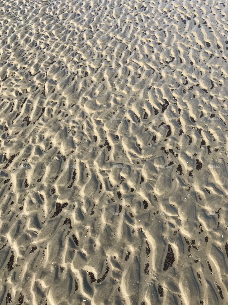 Sand waves