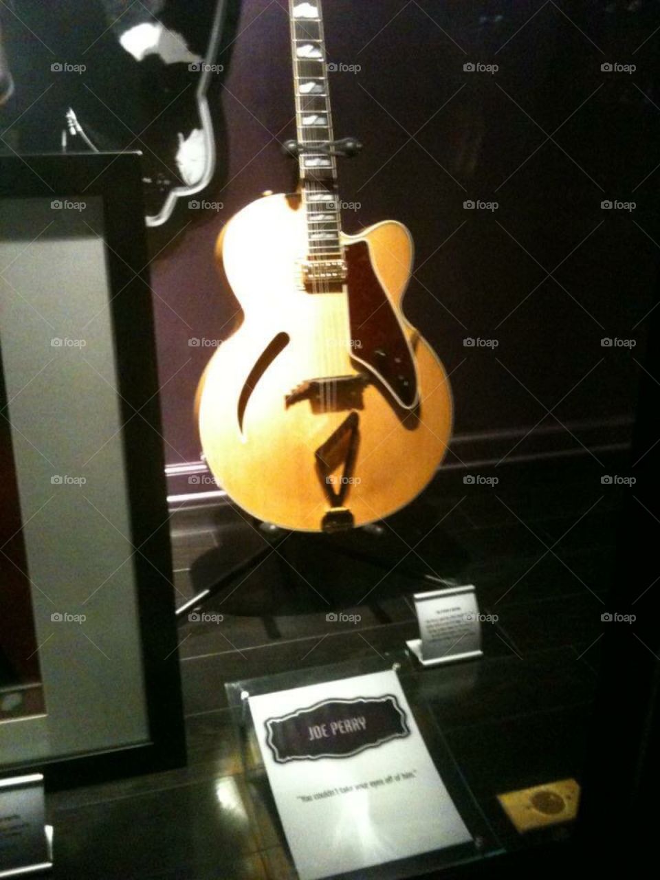 Elvis guitar at Graceland 