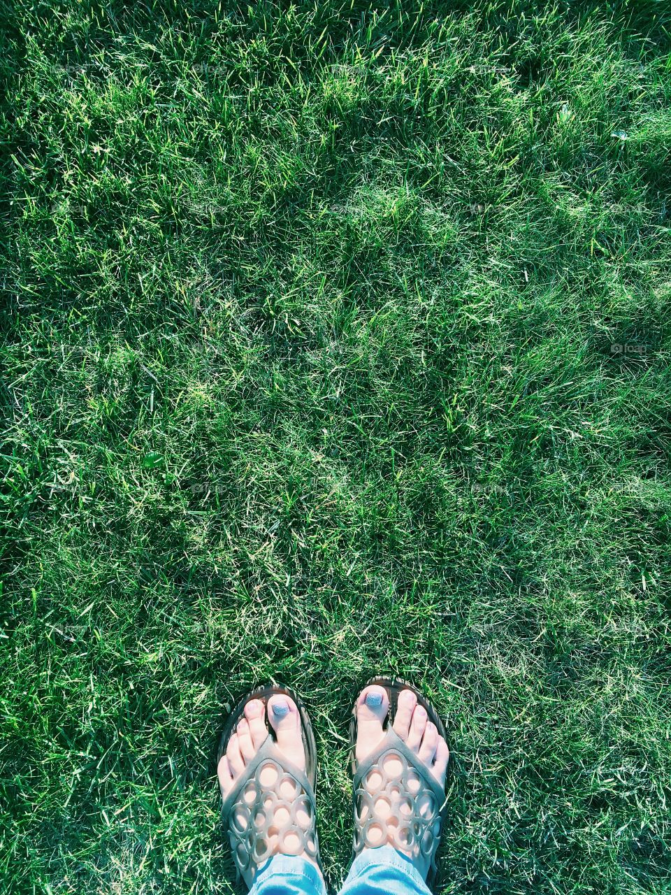 Green grass 