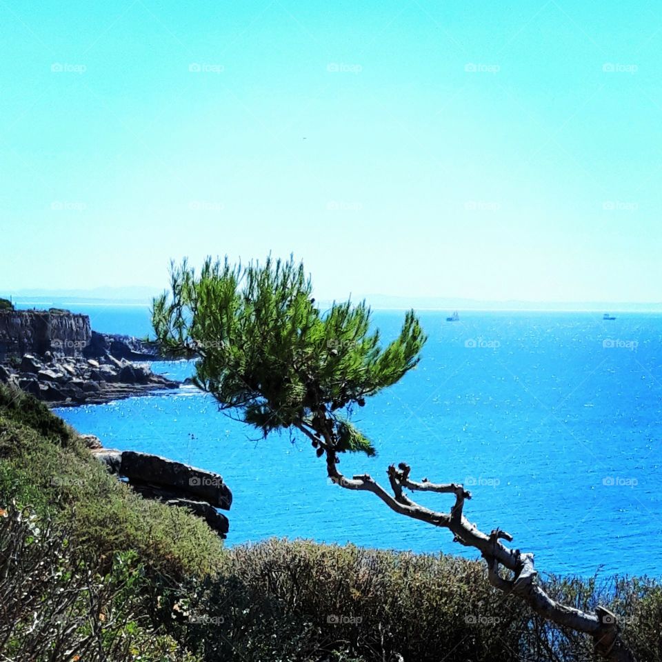 seashore of Cascais in august 2019