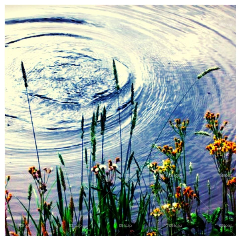 Ripples and Flowers